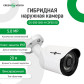 Гибридная наружная камера GV-095-GHD-H-СOF50-20