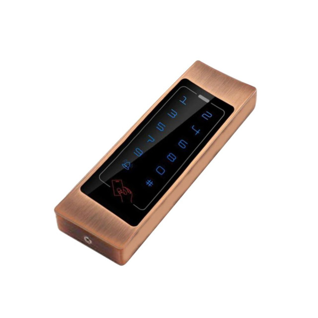 Контроллер доступа GV-CEM-011 Outdoor (Bronze)