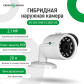 Гибридная наружная камера GV-024-GHD-E-COO21-20 1080Р