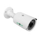 Камера видеонаблюдения уличная IP POE GV-054-IP-G-COS20-30 POE