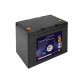 Аккумулятор LogicPower LP LiFePO4 12V - 100 Ah (BMS 50A/25А) пластик