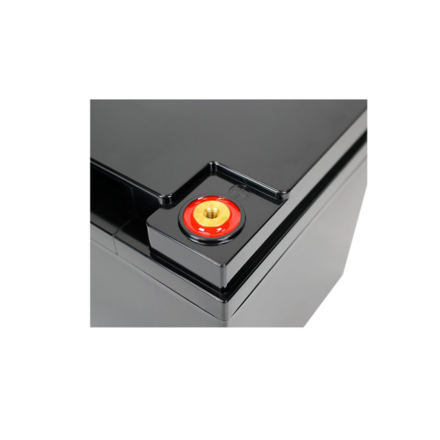 Аккумулятор LogicPower LP LiFePO4 12V (12,8V) - 52 Ah (665Wh) (BMS 50A/25А) пластик Аккумулятор LogicPower LP LiFePO4 12V (12,8V) - 52 Ah (665Wh) (BMS 50A/25А) пластик
