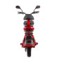 Электрический мопед R1 RACING Athena 500W/48V (красный) Электрический мопед R1 RACING Athena 500W/48V (красный)
