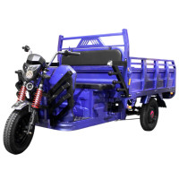 Электрический мопед TRIGO JJ1.6 1000W/60V/35AH(DZM) (синий)