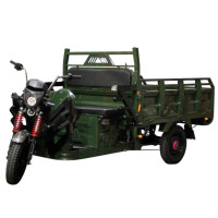 Электрический мопед TRIGO JJ1.6 1000W/60V/50AH(DZM) (зеленый)