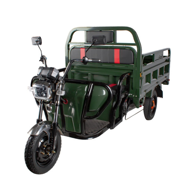 Електричний мопед TRIGO JJ1.6 1000W/60V/55AH(MG) (зеленый)