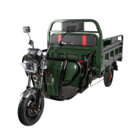 Електричний мопед TRIGO JJ1.6 1200W/60V/55AH(MG) (зеленый)