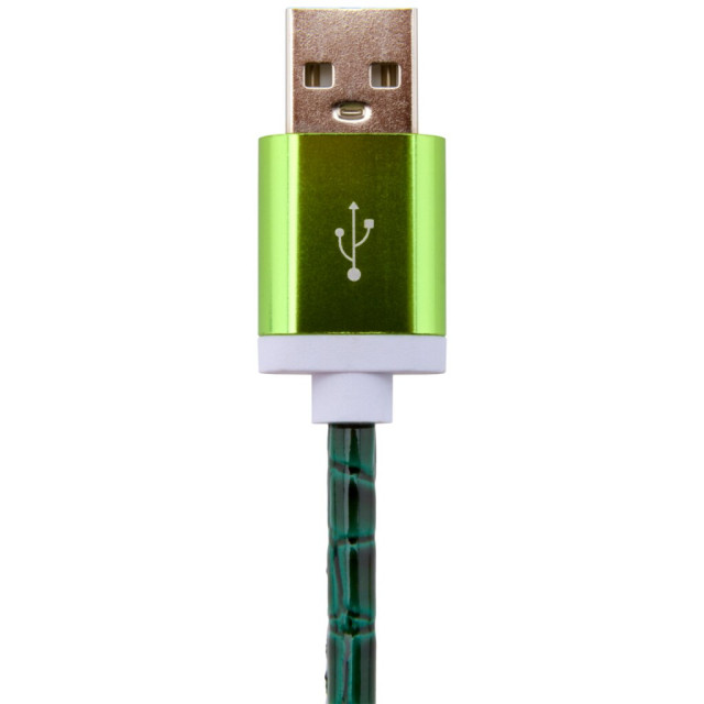 Кабель USB - Lightning 1м Gr (кожа) зеленый / Retail Кабель USB - Lightning 1м Gr (кожа) зеленый / Retail